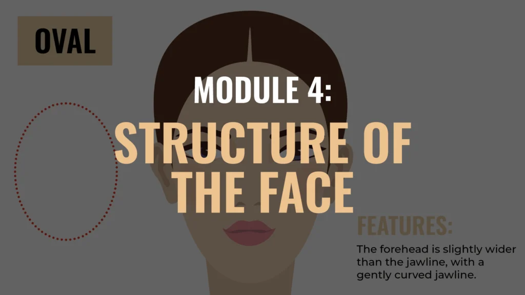 Professional-makeup-module-4-structure-of-the-face